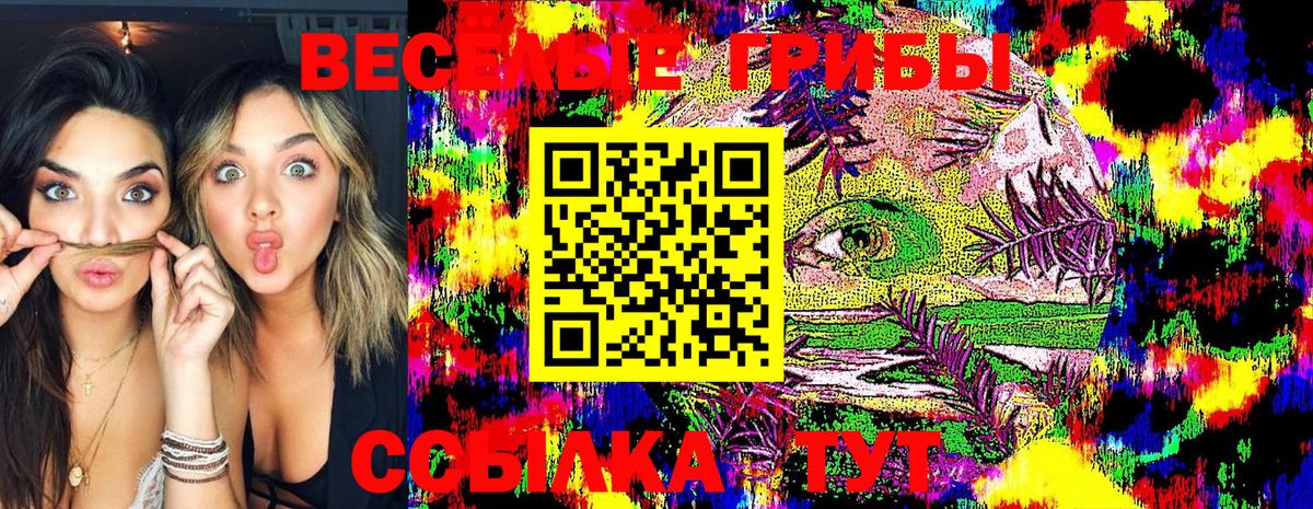 Псилоцибиновые грибы ЛСД  Вход с VPN  Элиста 