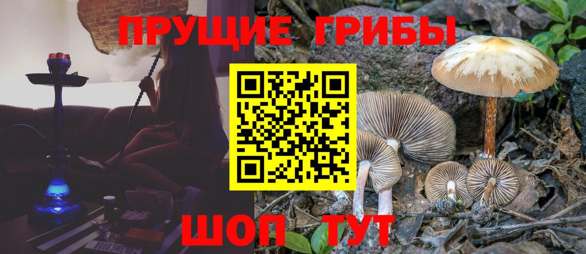 Псилоцибиновые грибы ЛСД Элиста